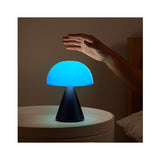 LEXON Mina L Portable LED Lamp