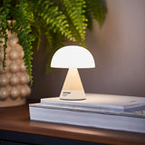 LEXON x PANTONE Mina M Portable LED Lamp