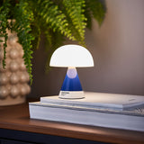 LEXON x PANTONE Mina M Portable LED Lamp