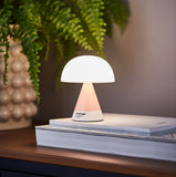 LEXON x PANTONE Mina M Portable LED Lamp