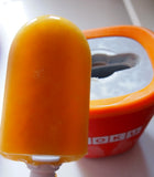 ZOKU Single Quick Pop Maker